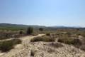 Venta - Land - San Miguel de Salinas - San Miguel de Salinas Centro