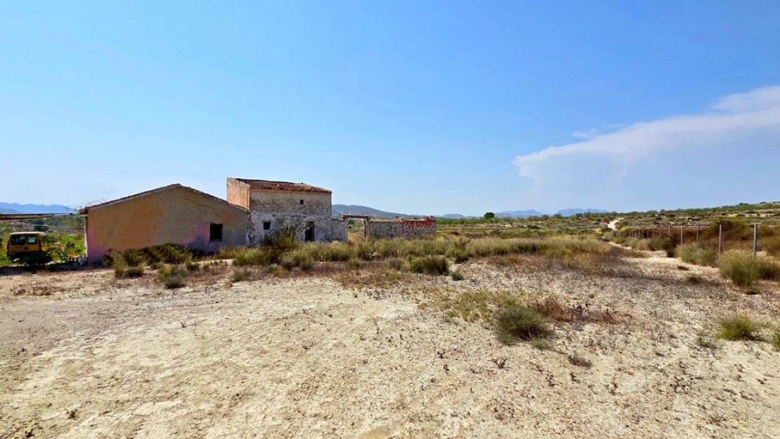 Venta - Land - San Miguel de Salinas - San Miguel de Salinas Centro
