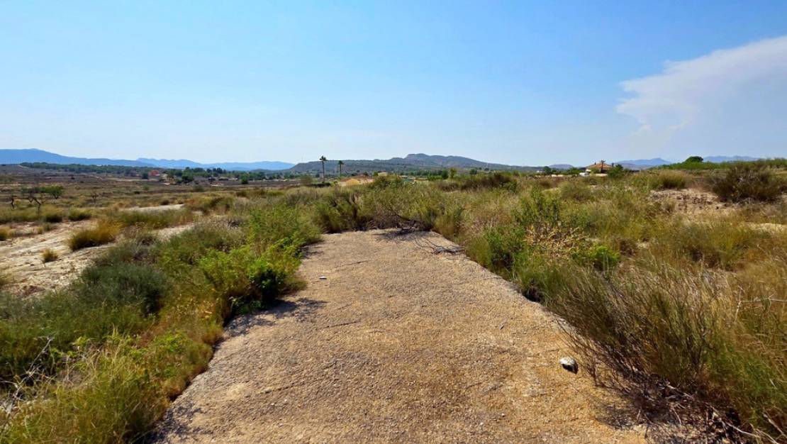 Venta - Land - San Miguel de Salinas - San Miguel de Salinas Centro