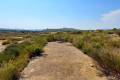 Venta - Land - San Miguel de Salinas - San Miguel de Salinas Centro