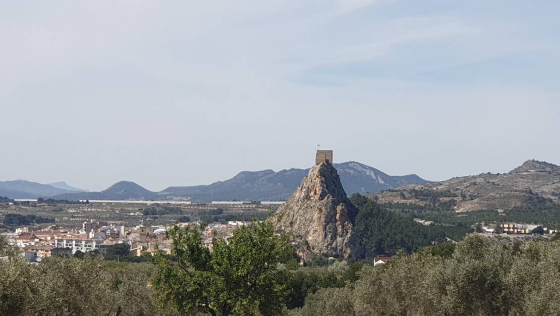 Venta - Land - Sax - Sax Centro