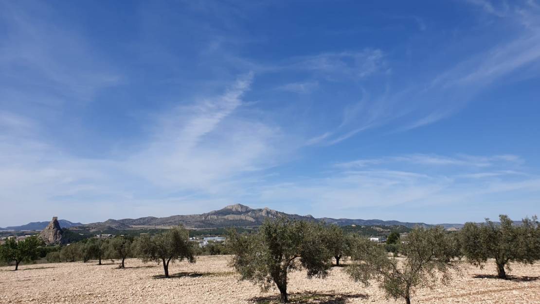 Venta - Land - Sax - Sax Centro