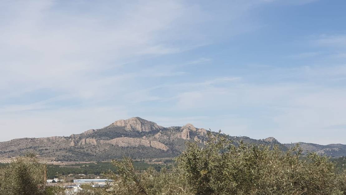 Venta - Land - Sax - Sax Centro