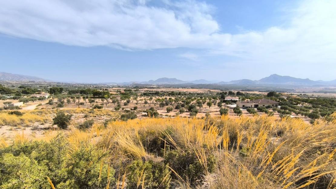 Venta - Land - Sax - Sax Centro