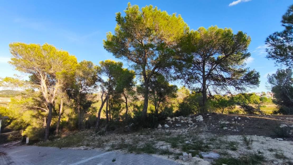 Venta - Land - Teulada - Teulada Centro