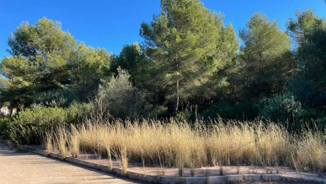 Venta - Land - Villajoyosa - La Cala