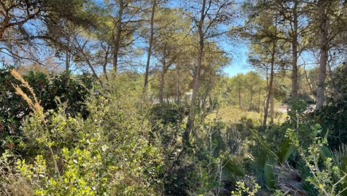 Venta - Land - Villajoyosa - La Cala