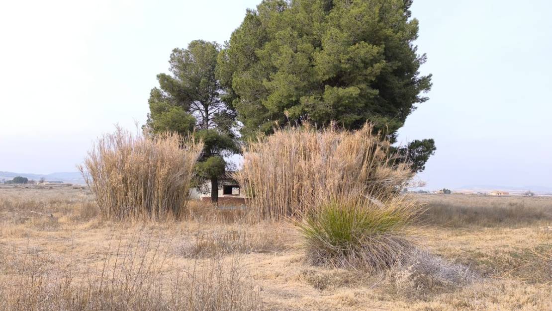 Venta - Land - Villena - Villena Centro