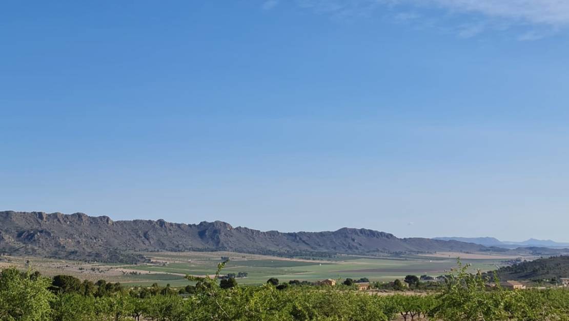 Venta - Land - Yecla - Raspay