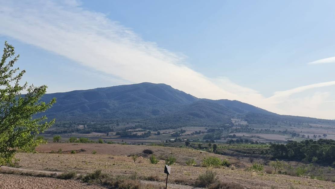 Venta - Land - Yecla - Raspay