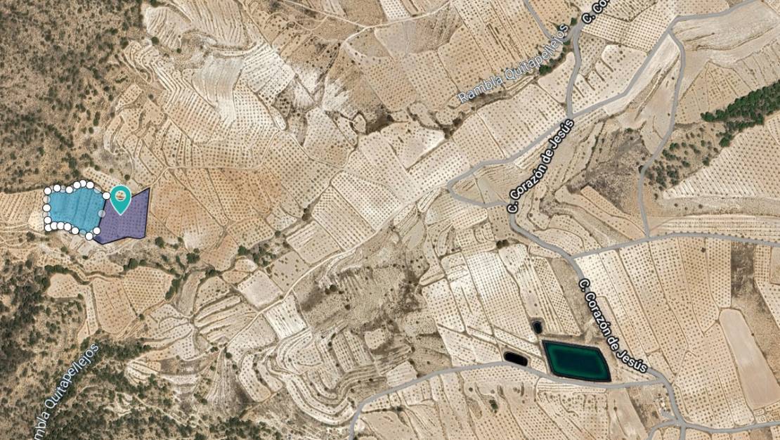 Venta - Land - Yecla - Raspay