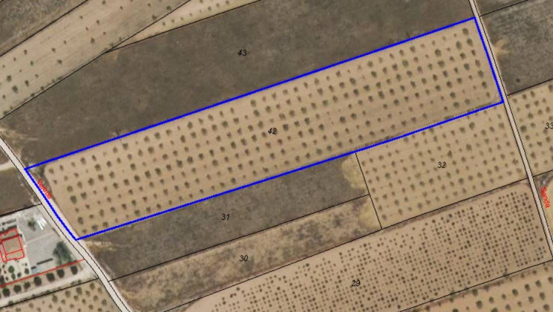 Venta - Land - Yecla - Raspay