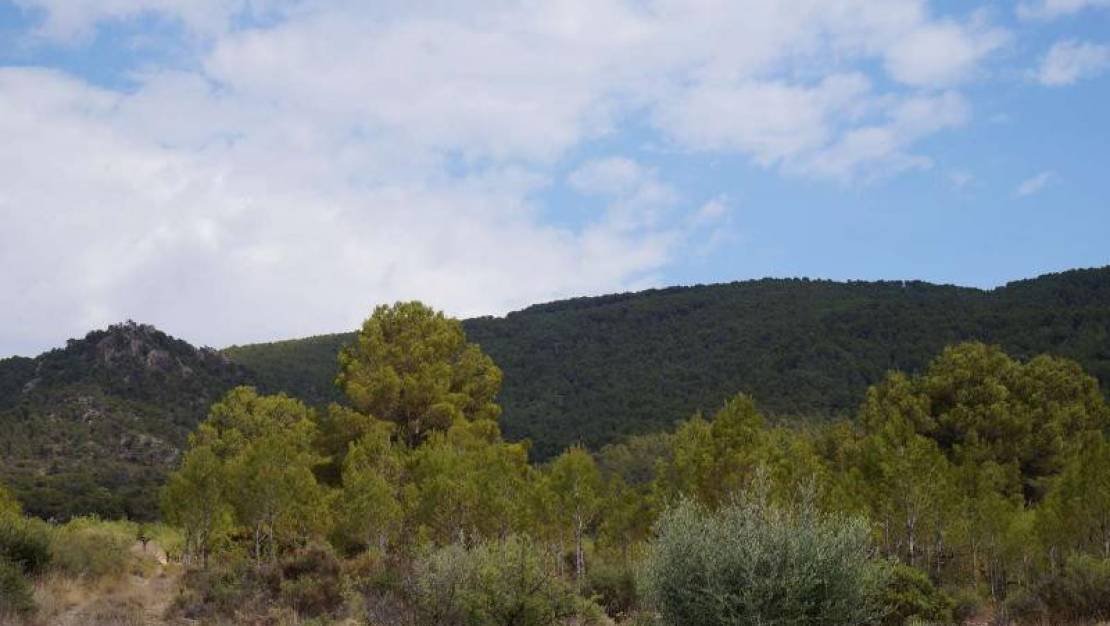 Venta - Land - Yecla - Yecla Centro