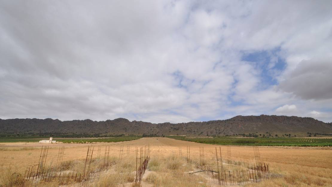 Venta - Land - Yecla - Yecla Centro