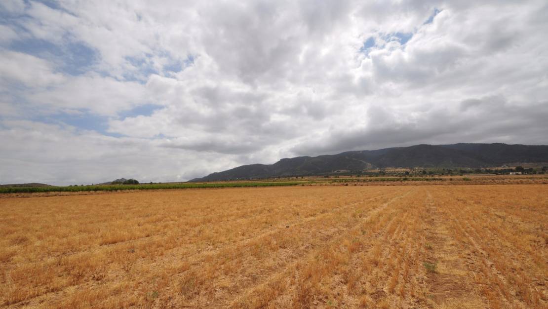 Venta - Land - Yecla - Yecla Centro