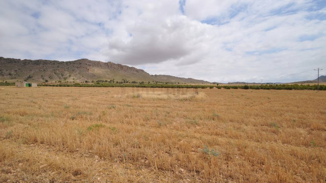 Venta - Land - Yecla - Yecla Centro