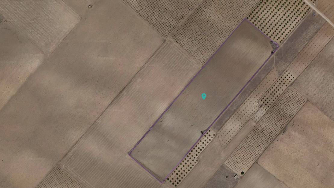 Venta - Land - Yecla - Yecla Centro