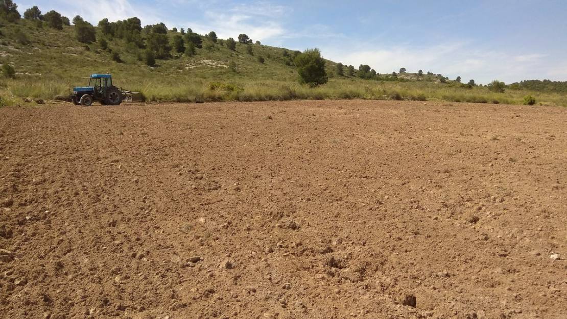 Venta - Land - Yecla - Yecla Centro