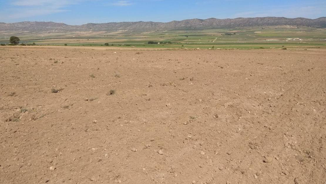 Venta - Land - Yecla - Yecla Centro