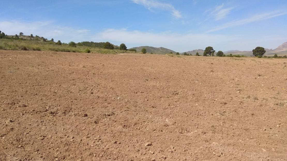 Venta - Land - Yecla - Yecla Centro