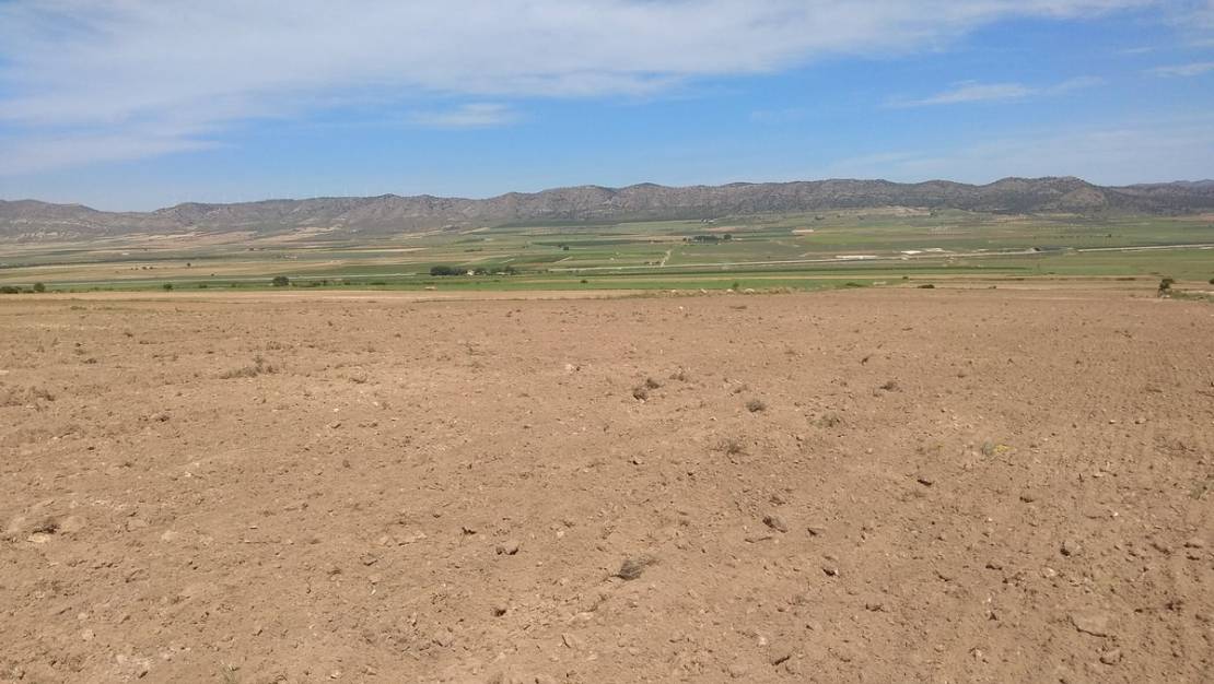 Venta - Land - Yecla - Yecla Centro