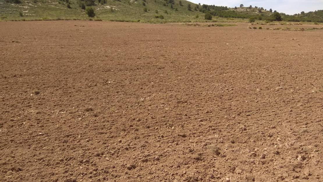 Venta - Land - Yecla - Yecla Centro