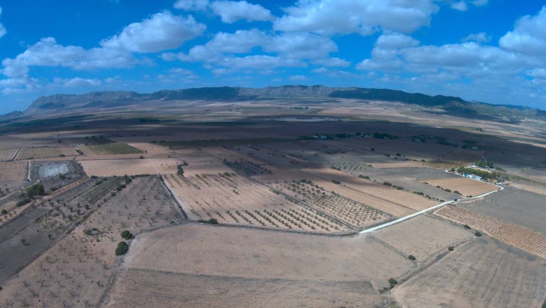 Venta - Land - Yecla - Yecla Centro