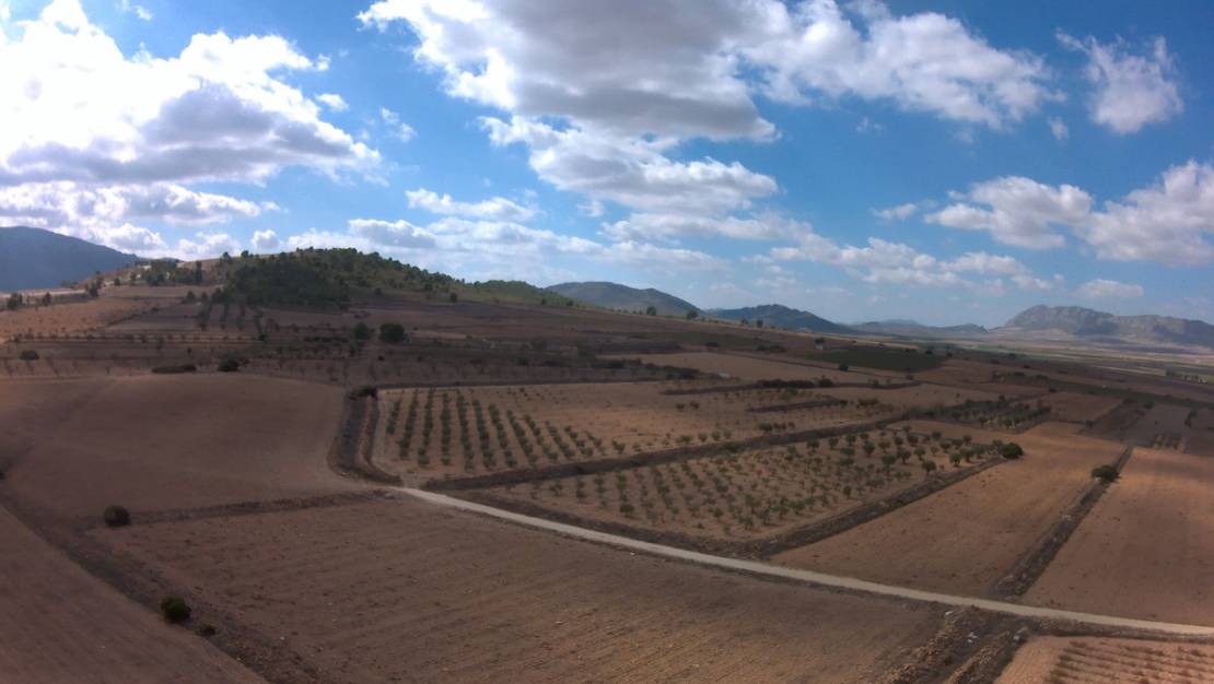 Venta - Land - Yecla - Yecla Centro