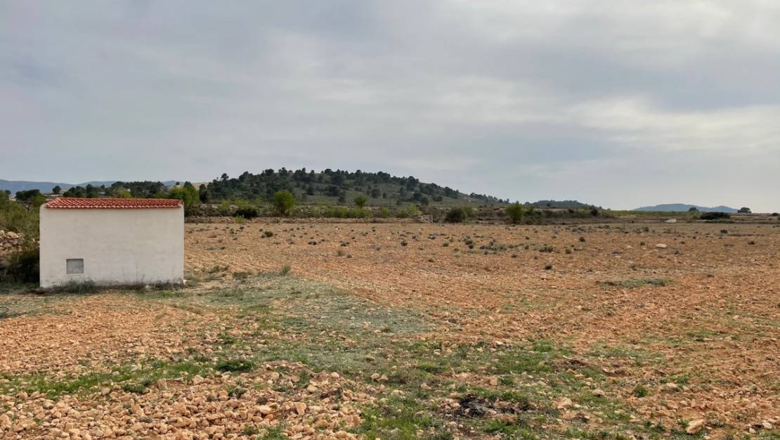 Venta - Land - Yecla - Yecla Centro