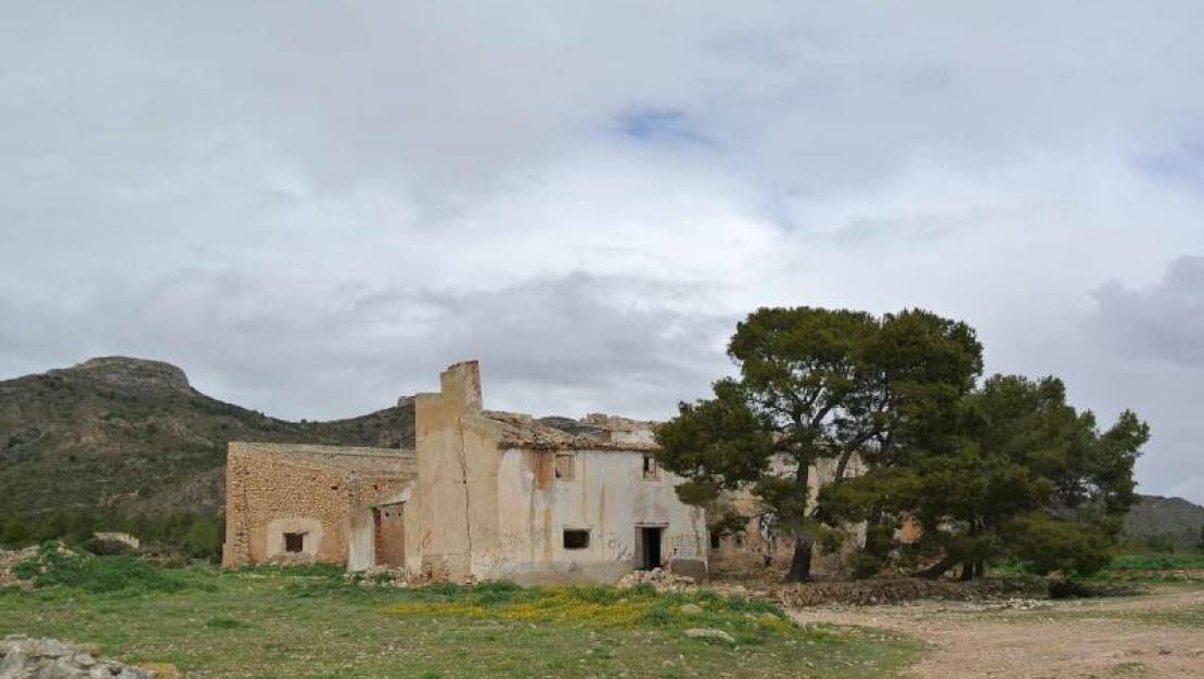 Venta - Land - Yecla - Yecla Centro