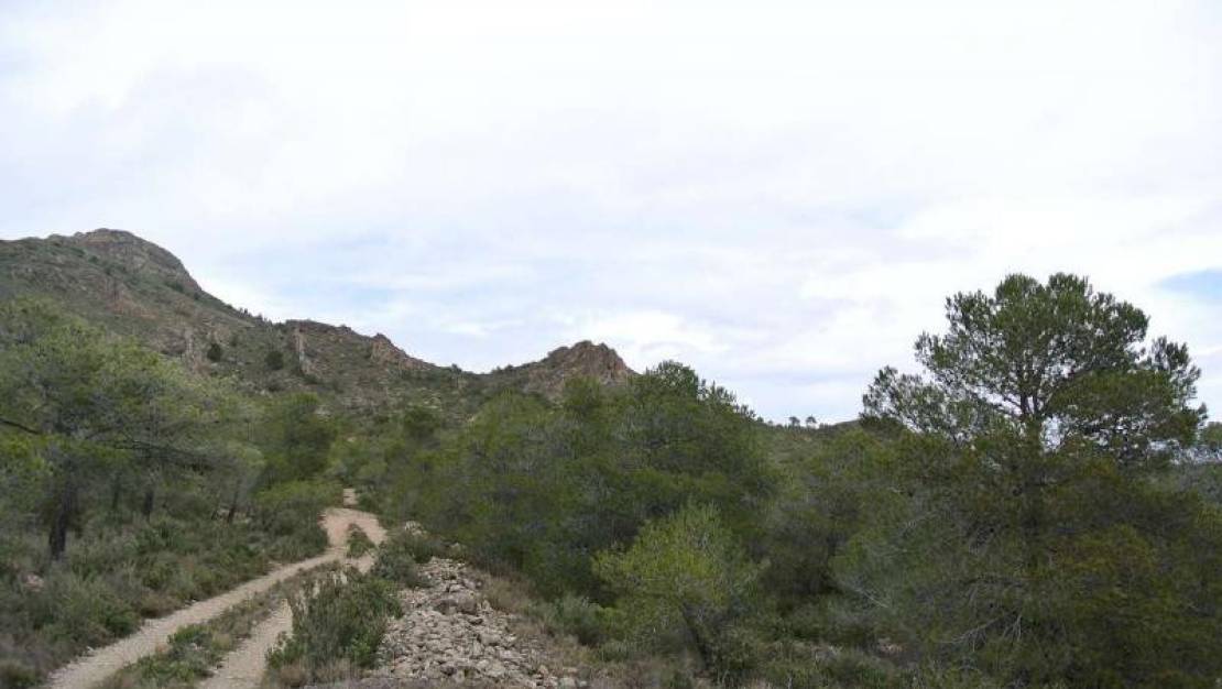 Venta - Land - Yecla - Yecla Centro