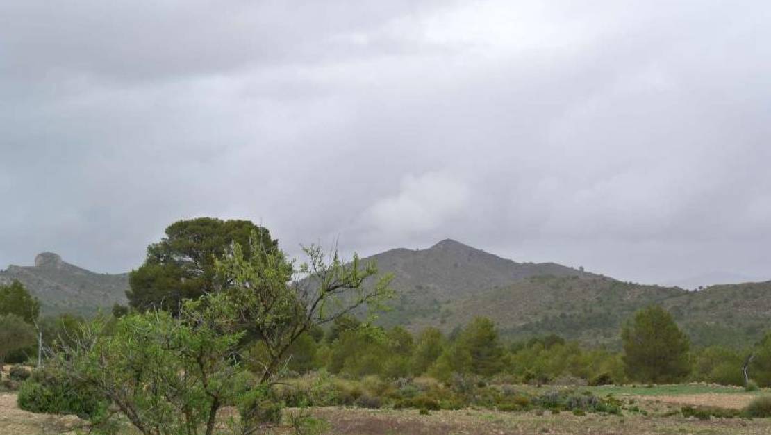 Venta - Land - Yecla - Yecla Centro