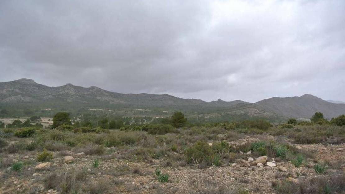 Venta - Land - Yecla - Yecla Centro