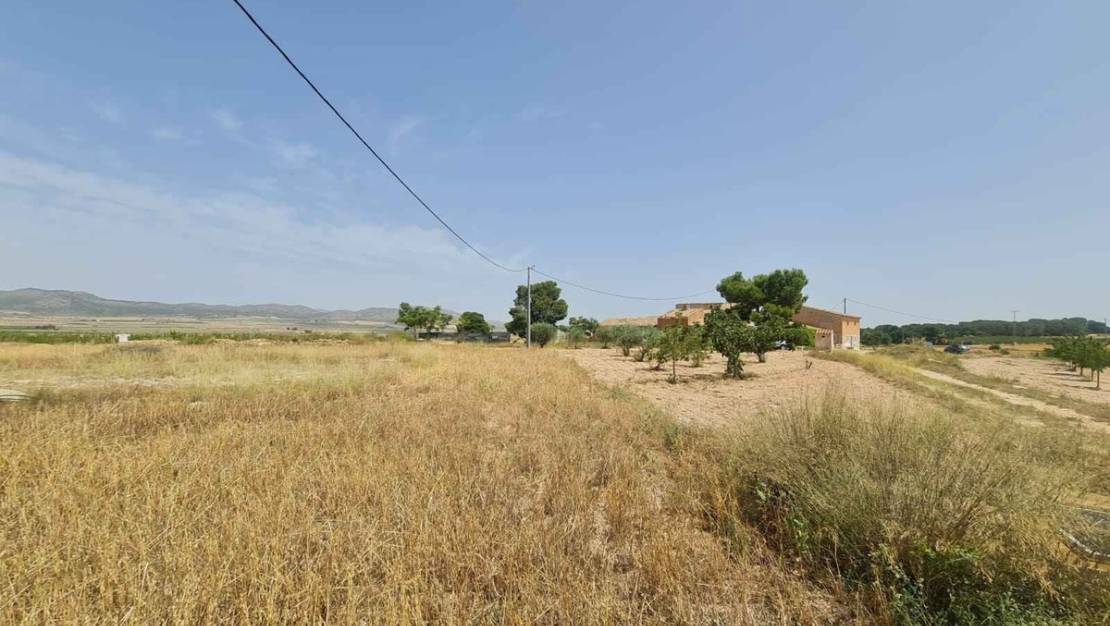 Venta - Land - Yecla - Yecla Centro