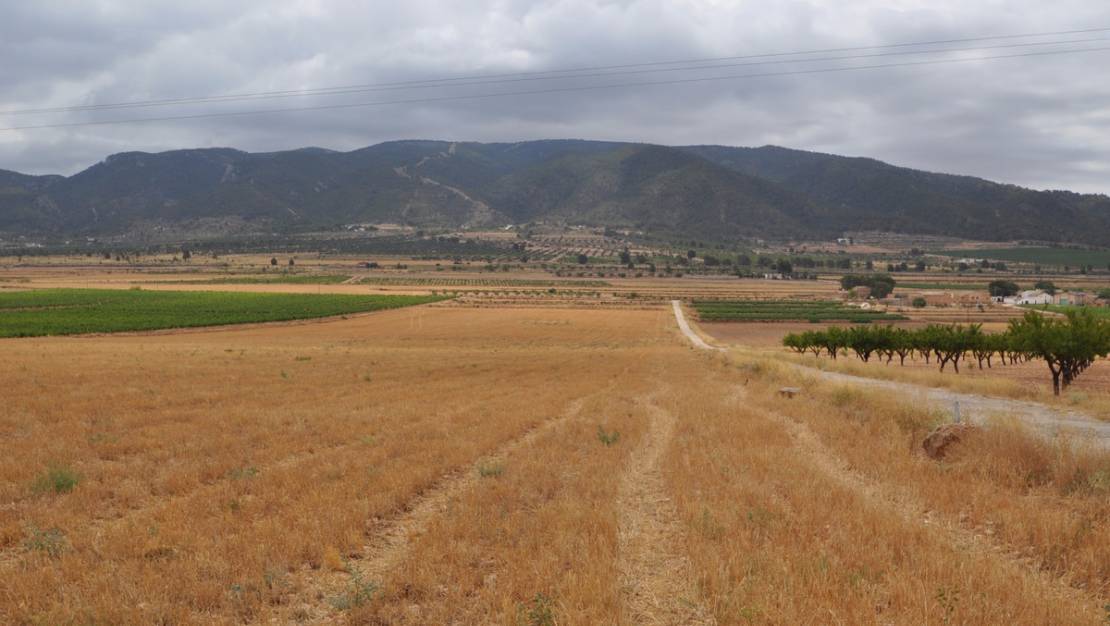 Venta - Land - Yecla - Yecla Centro