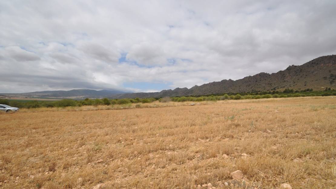 Venta - Land - Yecla - Yecla Centro