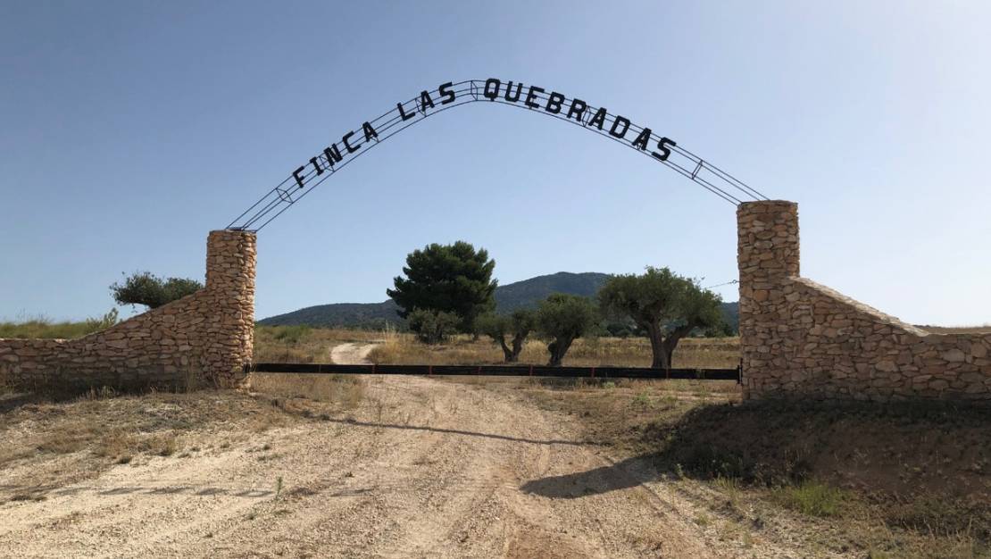 Venta - Land - Yecla - Yecla Centro