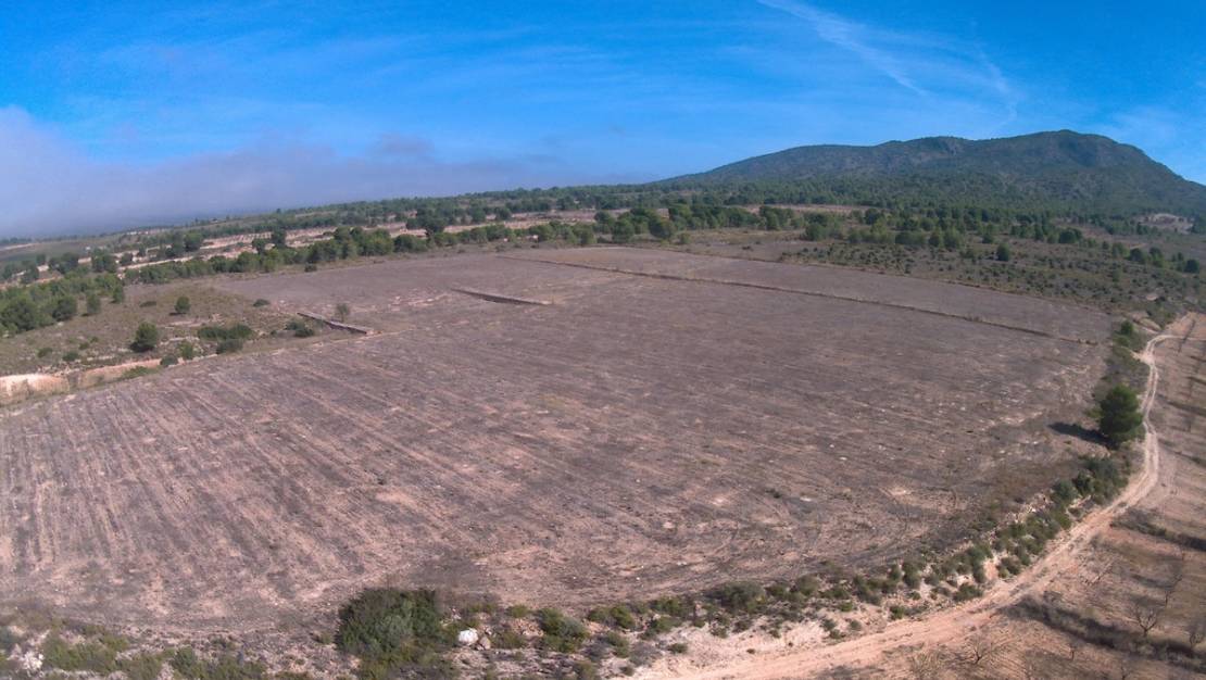 Venta - Land - Yecla - Yecla Centro