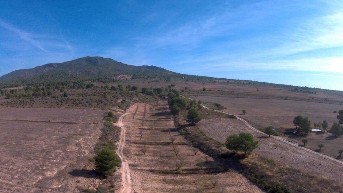 Venta - Land - Yecla - Yecla Centro