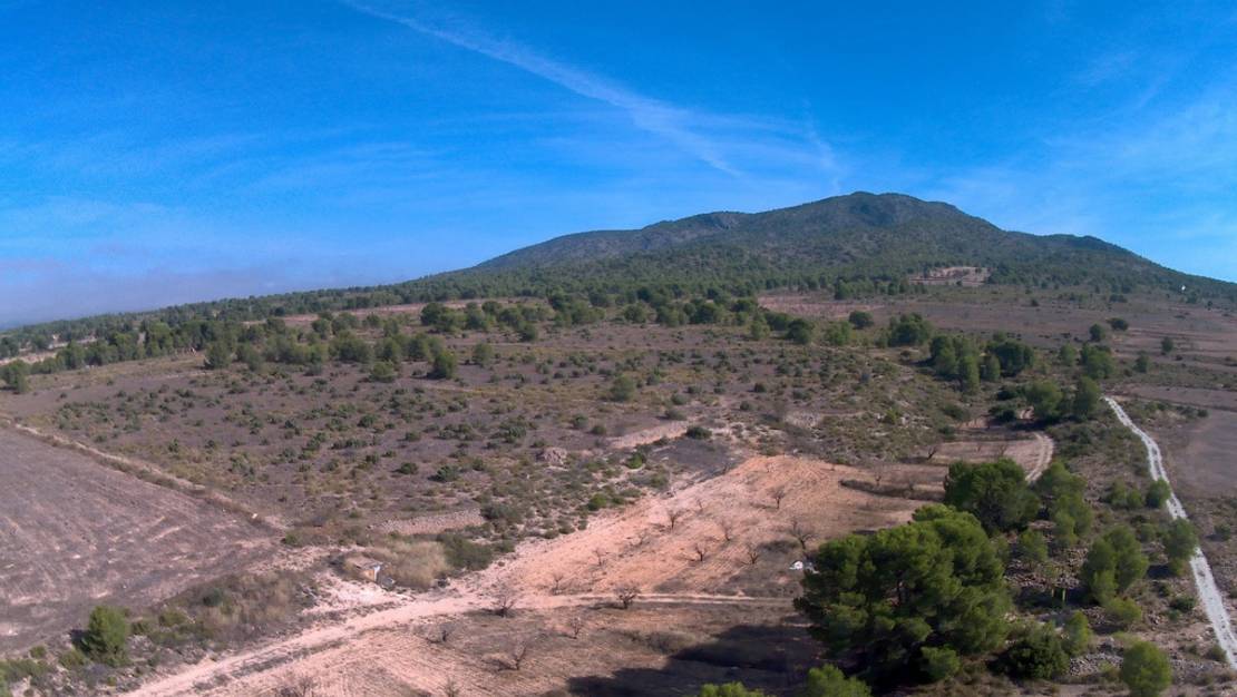 Venta - Land - Yecla - Yecla Centro