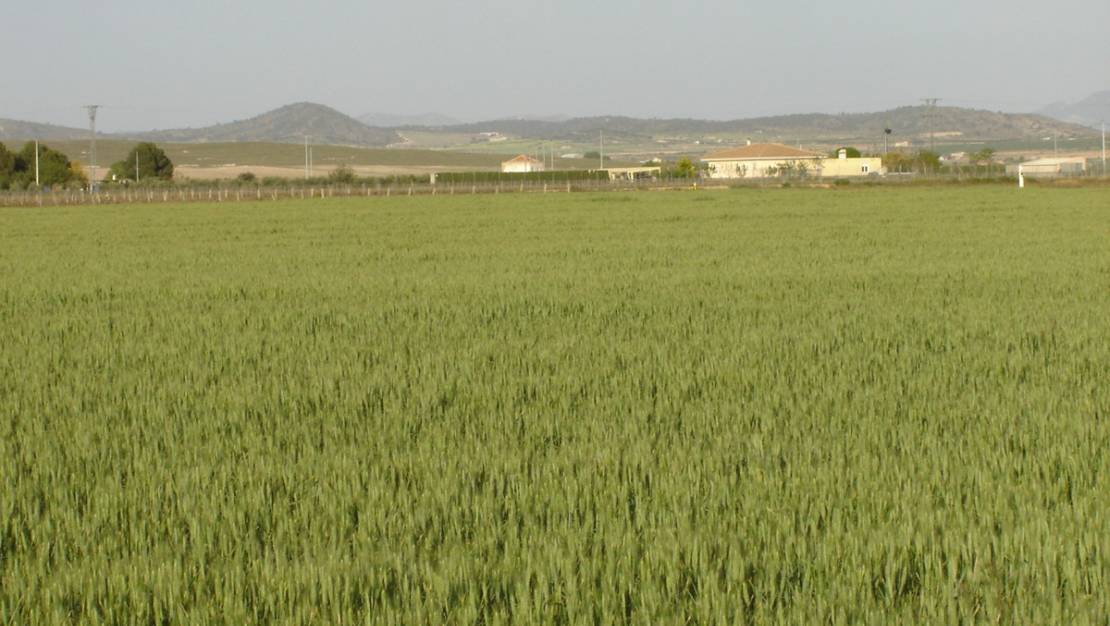 Venta - Land - Yecla - Yecla Centro