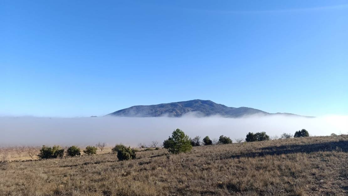 Venta - Land - Yecla - Yecla Centro