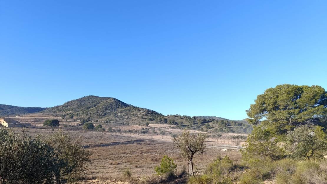 Venta - Land - Yecla - Yecla Centro