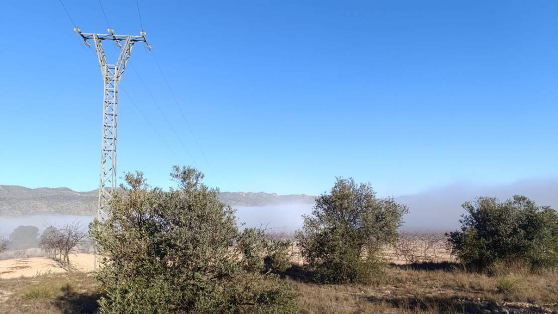 Venta - Land - Yecla - Yecla Centro