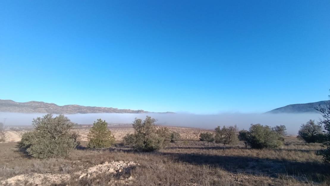 Venta - Land - Yecla - Yecla Centro