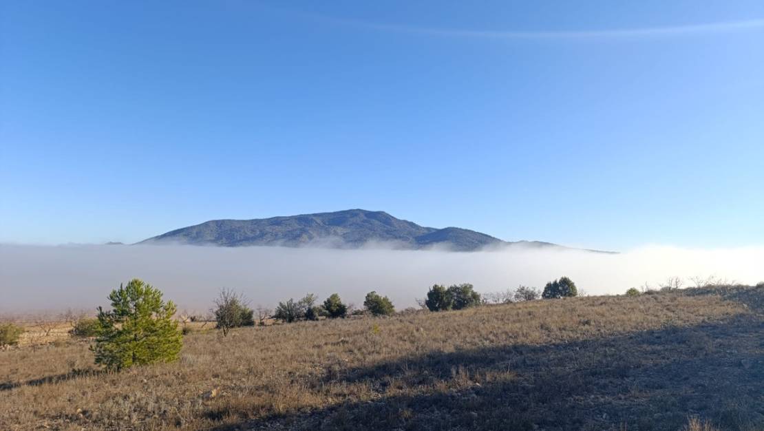 Venta - Land - Yecla - Yecla Centro