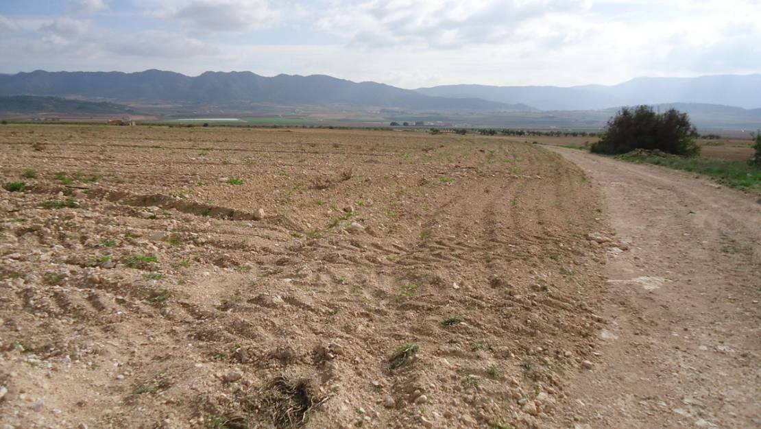 Venta - Land - Yecla - Yecla Centro