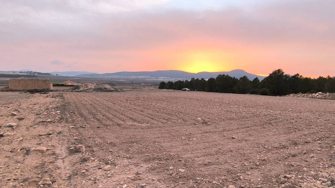 Venta - Land - Yecla - Yecla Centro