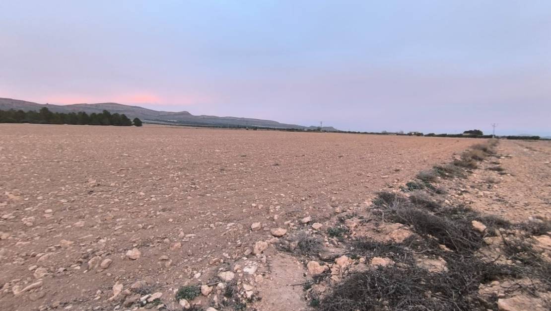 Venta - Land - Yecla - Yecla Centro