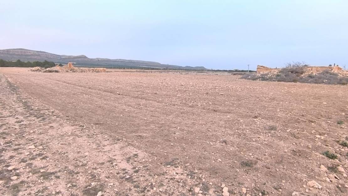 Venta - Land - Yecla - Yecla Centro